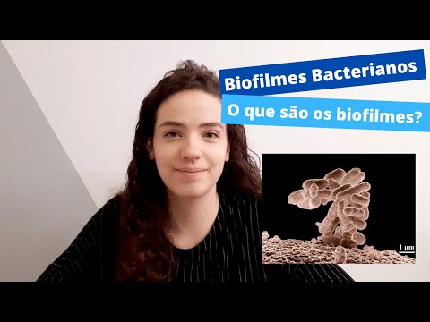BACTERIAL BIOFILMS | What are Biofilms?