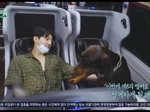 Jungkook with his New Dog "bam" on the way to soop🐕‍🦺🤎💜