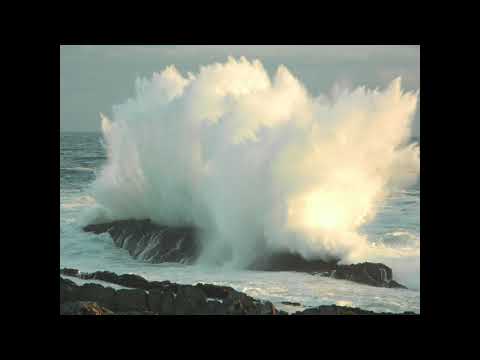 Octagen - Manual (2006)