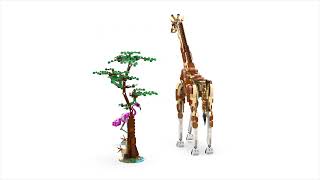 LEGO® Creator 3 v 1 31150 Divoká zvířata ze safari