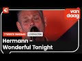 Hermann - Wonderful Tonight