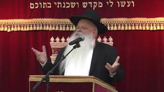 הכל תלוי בעיניים | קדושת האדם | הרב דניאל זר