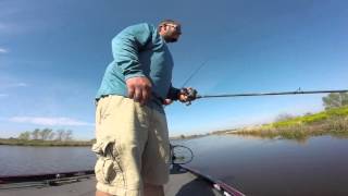 Bass Fishing Lockport, LA