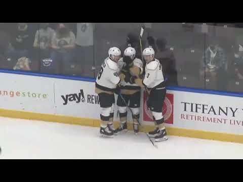 Highlights | February 13 VS Maine Mariners