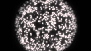 Crystal ribbons grow on a curve