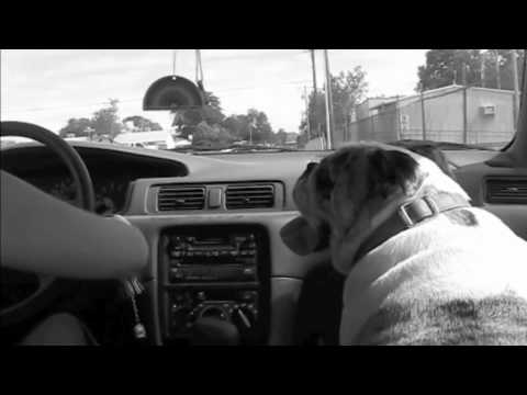 DrEricVanNostrand.m4v