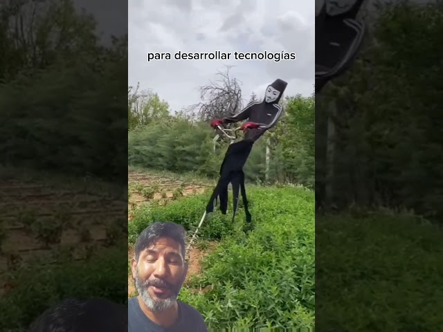 Vídeo relacionado con Peyca Espantapajaros Tradicional 150cm. para huerto y Jardin. Multicolor.