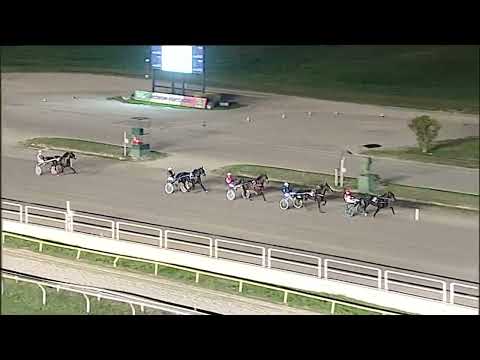 Napoli Trotto 11/11/2025 - 1ª prova di qualifica