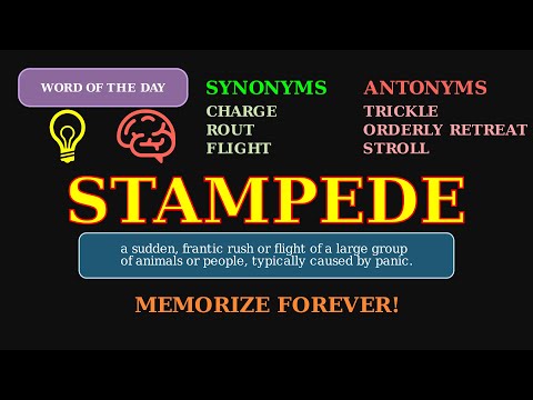 Stampede: Word of the Day 🐄 | A Sudden Panic Rush!