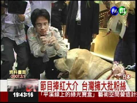 狗明星"大介"走了... 粉絲心痛不捨