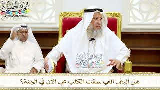 255 - هل البغي التي سقت الكلب هي الآن في الجنة؟ - عثمان الخميس
