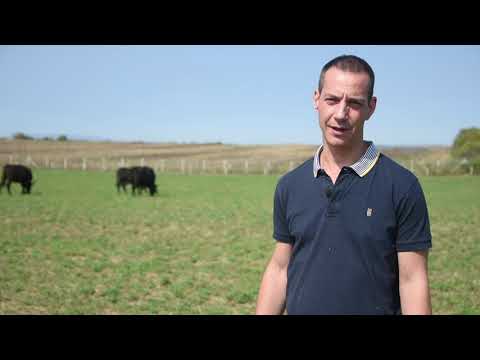 NOVI PAŠNJACI za ANGUS GOVEDA