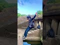 Krrish Action Ashortaday Shorts