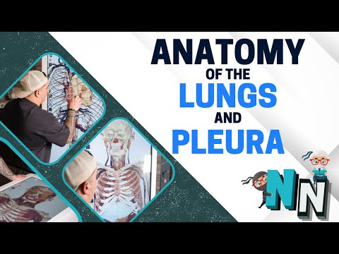 Ninja Nerd and Anatomage