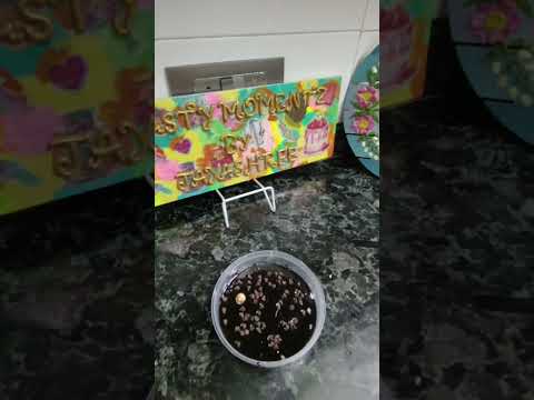 THREE LAYER CAKE... ORDER BEFORE AN HOUR.. #customisedcakes #vegcakes #homemadecake #homebaker