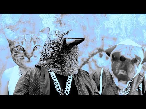 Crazy Crow (Official Video) by David King