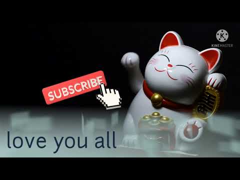 cute cat  amazing video only baby choyse /youtube. /siyab uddin /