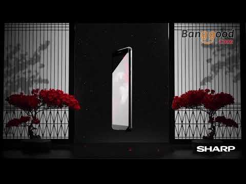 SHARP B10 Global Version 5.7 Inch HD+ 4000mAh 13.0MP+8.0MP Dual Rear Camera