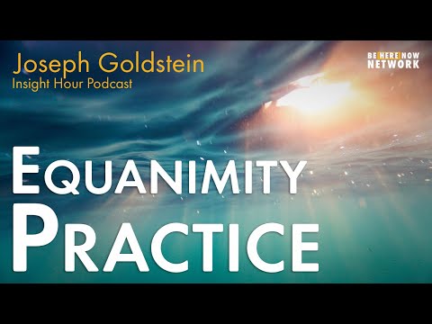 Equanimity Practice with Joseph Goldstein - Insight Hour Podcast Ep. 161