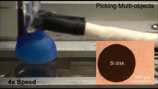 Soft Grippers Using Micro-fibrillar Adhesives for Transfer Printing (4x4 array of Si discs)