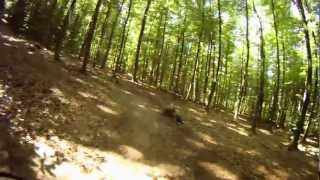 preview picture of video 'Präsidenten Trail Bank 1 Saar MTB Marathon 2012 St.Ingbert'