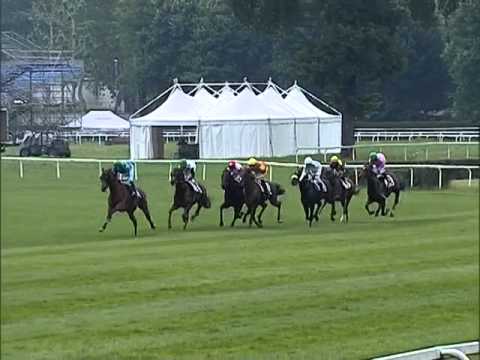 Premio D'Estate 2013 (LISTED RACE)