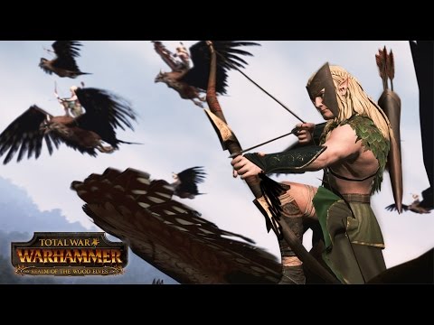 Total War WARHAMMER Realm of The Wood Elves 