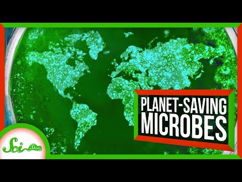 6 環境を救う微生物 (6 Microbes Saving the Environment)