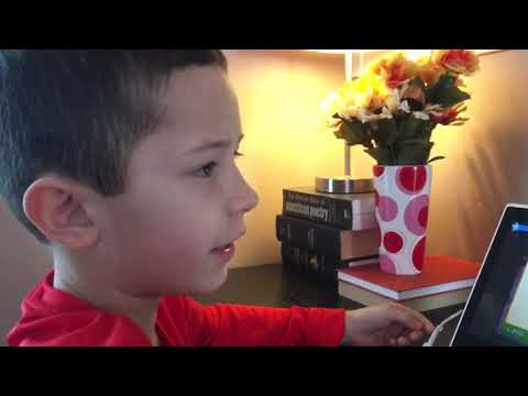 How to make clownfish dragon