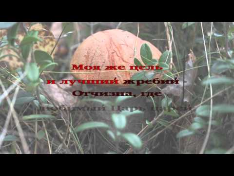 279 О небо, голубое небо