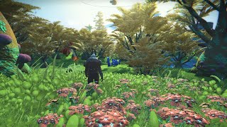 no man's sky utopia revamp 2 - epic mods pack playable on expeditions and multiplayer