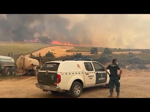 Heiße Winde fachen die Waldbrände in Spanien weiter an: Auch landwirtschaftliche Flächen verbrennen
