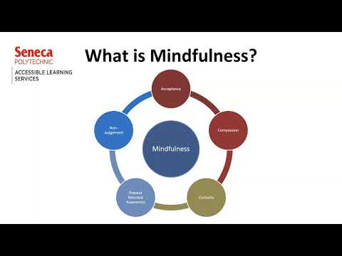 Mindfulness in Higher Education: Program Highlights, Insights and Potential Pathways Forward