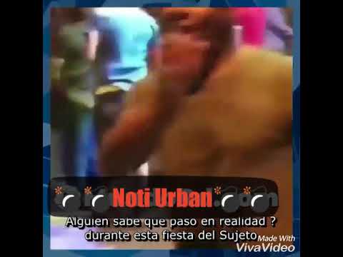 El Sujeto le da una trompa a un fanático ➖ El poeta callejero le regala una casa en la playa a