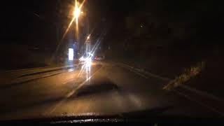 cinghiale-a-spasso-ad-ariano