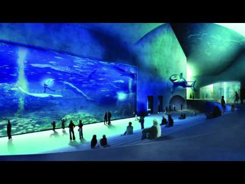 Rats in a maze (Meeloo vs Dualism Remaster)