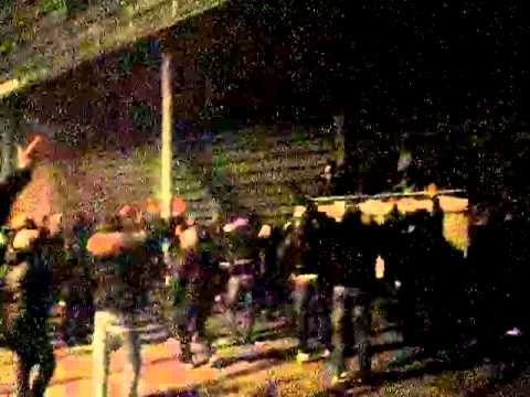 Huldiging spelers fcdenbosch