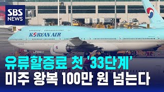 미주 왕복 유류할증료만 100만 원 넘는다..첫 '33단계' / SBS