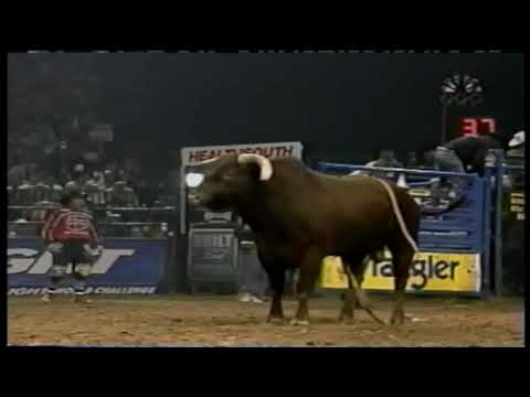 Little Yellow Jacket bucks Aaron Semas - 01 PBR World Challenge
