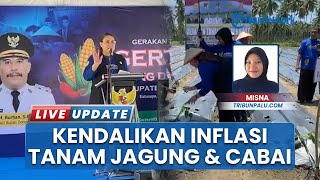 Bupati Donggala Luncurkan Gerakan Tanam Jagung dan Cabai, Jadi Upaya Kendalikan Inflasi