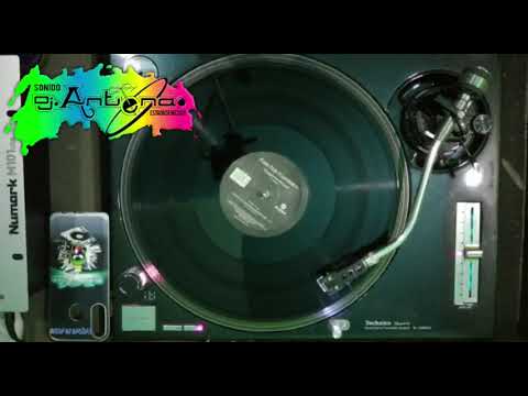 Pussy dub foundation-"struggle for pleasure" (w. Mertens)