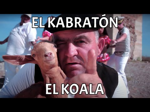 ¿Tenéis cabras? (El Kabratón) (Videoclip OFICIAL) - El Koala 🐨