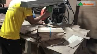 Máy cưa đu WM-888 cắt bọ gỗ, ke góc