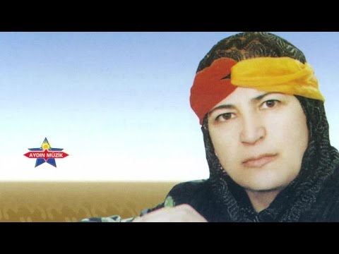 Gazın - Sînano Krîv