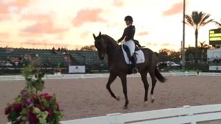 Video od Folkestone OLD