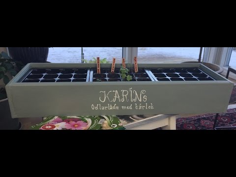 Bygg odlarlåda till fönsterbrädan - Carro och Karin Hemmafixarna - Program 2