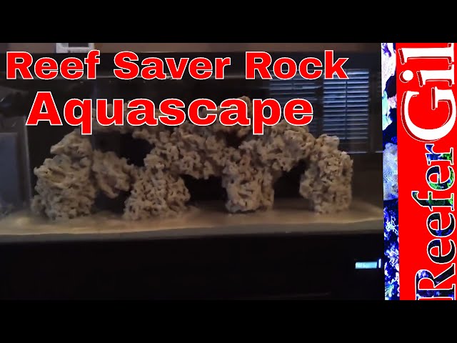 Reef Aquarium Aquascape- 75 Gallon Aquarium