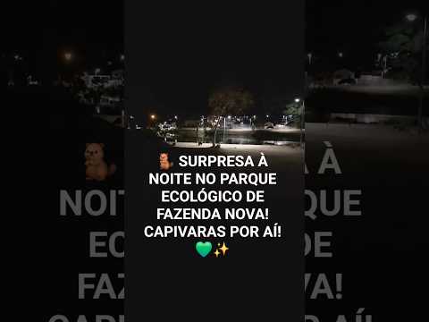 🦫 Que noite abençoada! Saímos pra passear e tivemos essa surpresa linda no Parque de Fazenda Nova!🌙