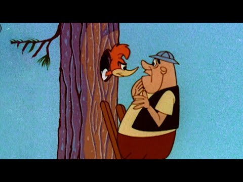 Woody Won't Move | 2.5 Hours of Classic Episodes of Woody Woodpecker