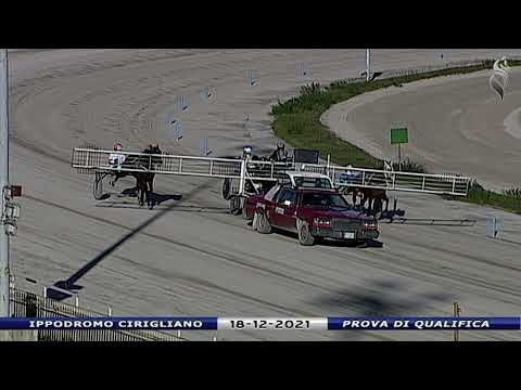 Aversa trotto 18 Dicembre 2021 - Prova di qualifica